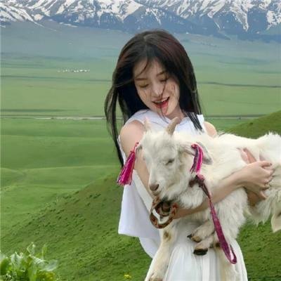 金三角之无法伤悲